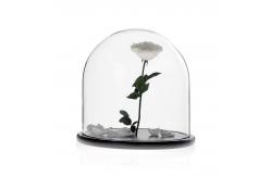China D30 x H30cm Handmade Large Glass Display Box Dome Cloche With Wood Base supplier