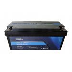 Ecolite 4000+Deep Cycle LifePO4 Lithium Battery With BMS 12.8V 200Ah LFP Battery Pack for sale
