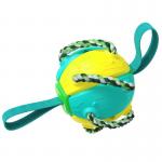 New Popular Amazon Outdoor Training Frisbee Interactive Football Dog Toy for sale