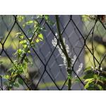 40mm*40mm Hole Size SS316 Stainless Steel Rope Mesh Green Wall For Plant for sale