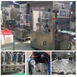 Customized Capacity Bottle Filling Line Automatic Paste Filling Machine for sale