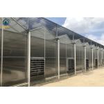 Heavy Duty Smart Cultivation Polycarbonate Greenhouse Automated Hydroponic Greenhouse for sale