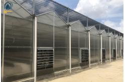 China Custom Polycarbonate Greenhouses For Organic Farming And Commercial Use supplier