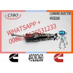 4928260 4928260NX 4928260 For Engine QSX15 ISX15 Neutral Fuel Injector 4928260NX 4928260 for sale