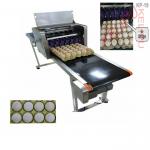 Digital Egg Marking Equipment / Batch Code Printer For Product Identification for sale