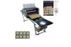 China Digital Egg Marking Equipment / Batch Code Printer For Product Identification supplier