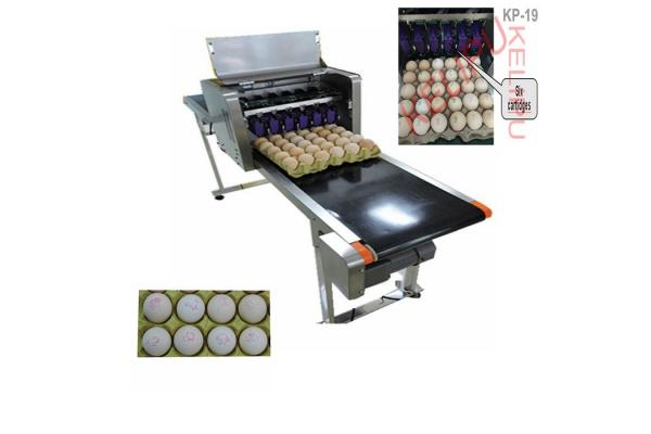Digital Egg Marking Equipment / Batch Code Printer For Product Identification