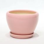 Easy To Clean Ceramic Pots For Plants Durable And Stylish Options