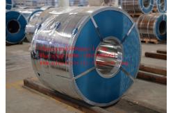 China SPTE TFS continuous annealing  Rolled Tinplate Coil for food can packing supplier