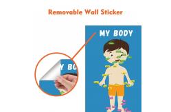 China Removable Body Learning Custom Dry Erase Poster Board 48x36 With Magic Stickers supplier