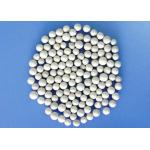 ZrO2 Ceramic Plain Bearings Ball Anti-Canker No Magnetism  Isolation For Electricity