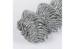 China 50x50mm Hot Dipped Galvanized Chain Link Fence Fabric Cyclone Wire Netting supplier