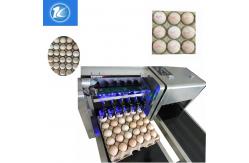 China 1600x410x980mm Size Egg Jet Printer Machine With Low Maintenance Costs supplier