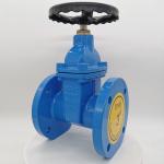 BS5163 Resilient Seated Gate Valve for sale