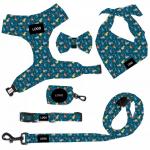 Nylon Pet Harness Leash Collar Set Six Piece Exquisite Sets With Chest Strap Bow Square Scarf Suits for sale