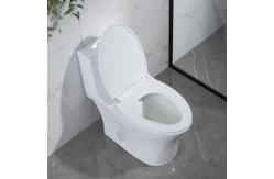 China Round Front One Piece Skirted Toilet Dual Flush Elongated Fully Skirted CUPC supplier