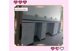 China Efficient Workspace Solutions Lab Workbenches Built to Your Specifications supplier