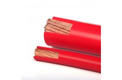 China Silicone Rubber Tinned Copper Wire 600V/200c Cable for Customized Lighting Solutions supplier