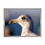 LQ150X1LGN1 15.0 inch 1024*768 LCD Screen Display for sale