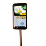 WI-FI / 3G Available Multifunction Android Kiosk, 22”Fashion display for Advertising with Android System for sale