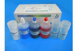 China Simple Use Diff Quik Stain Kit For Spermatozoa Morphology 100ml/Kit supplier