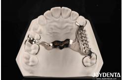 China Clinical Practice Dental Alloying Metal Framework Good Fit In The Mouth Technology supplier