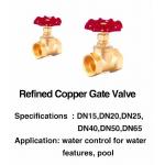 SGS Swimming Pool Fountain Accessories 1 Inch Brass Gate Valve for sale