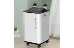 China 10L 220V Portable Oxygen Breathing Machine Concentrator Production supplier