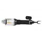 Bentley Continental Automobile Shock Absorber Spring Strut 3D0616040D for sale