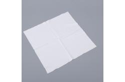 China Industrial Disposable Polyester Lint Free Cleanroom Wipes Custom Logo 120g / M2 supplier