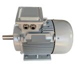 75kw 300rpm 400V 60HZ PMG PMSG Permanent Magnet Synchronous Generator For Wind Turbine for sale