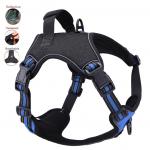 Colorful Pet Harness Adjustable Reflective Ventilated Dog Neck Harness OEM ODM for sale
