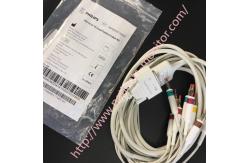 China PHiliph PW TC20 10 Lead Patient Cable IEC 989803175891 For Pediatric Adult supplier