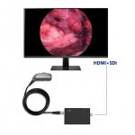 TUYOU Portable Endoscopy Video Camera Full HD 1920x1080 Resolution 120 Degree Field of View for Urology Spine and ENT Surgery for sale