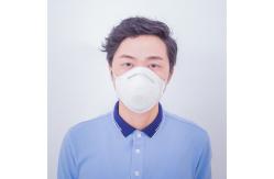 China Non Woven N95 Cup FFP2 Mask Anti Dust Disposable Dust Mask With Earloop supplier