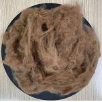Recycled Polyester Staple Fiber 2.5D 51mm Coffee for sale