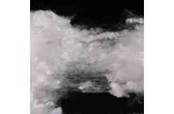 China Eco-Friendly Polyester Staple Fibre A Grade Customizable Hollow Fiber 51mm supplier