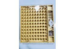 China Queen Rearing Cupkit Box Queen Rearing System Cupularve For Beekeeping supplier