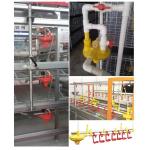 Chicken farm with automatic feeder winch main auxiliary 45 Feed Line Lifting Cup round pipe water line chicken house fee for sale