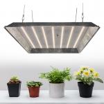FCC Knob Dimming IP65 Horticulture LED Grow Lights For Greenhouse for sale