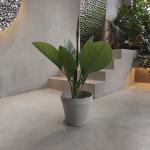 Vibrant Eco Friendly Plastic Garden Pots Waterproof 250*175*230MM for sale