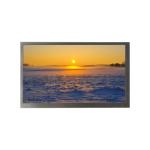 30 Pin HSD080KHW3-A10 LCD Screen Display Panel WXGA 184PPI 1280*720 for sale