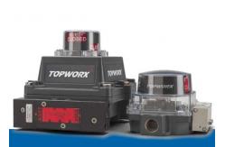China TOPWORX DXP-T21GNEB Computer Programmable Controller 316 Stainless Steel Flameproof supplier