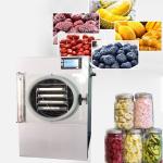 Programmable Food Vacuum Freeze Dryer Electric Heating Low Noise for sale