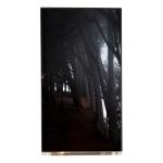LQ055T3SX04 5.5 inch 1080*1920 TFT-LCD Display Screen for sale