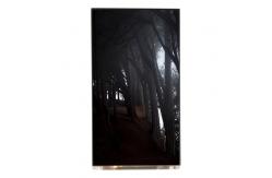 China LQ055T3SX04 5.5 inch 1080*1920 TFT-LCD Display Screen supplier