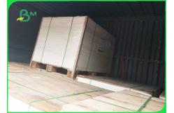 China Single Double Wall 235gsm +15g PE Coated Paper For Coffee Cup Waterproof supplier