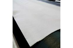 China High Strength Durability Polyester Nonwoven Geotextile Cover Geomembrane Landfill Liner supplier