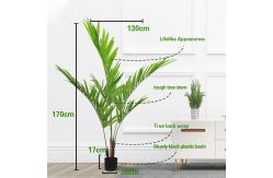 China Areca Palm Artificial Landscape Trees 170cm House Office Decoration supplier