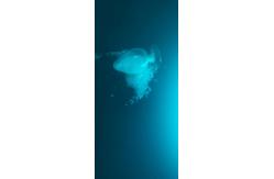 China HAA 95/5 Primid Powder Coating Polyester Resin No Bloming Curing Low Temp supplier